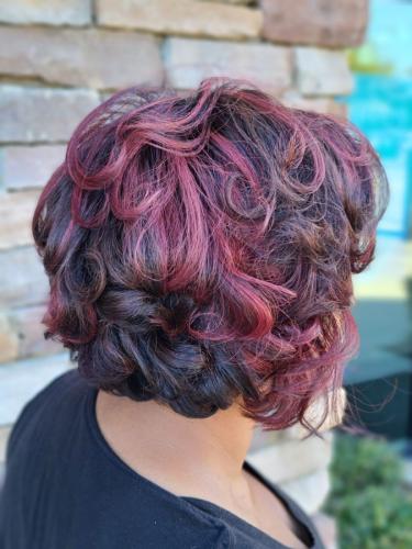 Ermite Charles Salon - Color